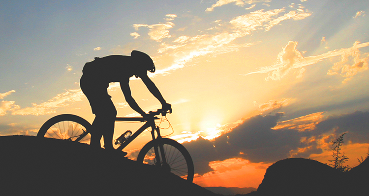 contact inbanner