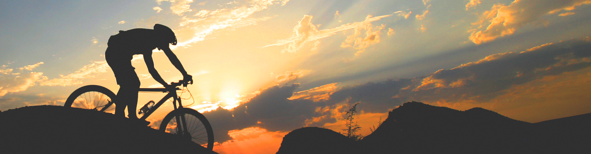 contact inbanner